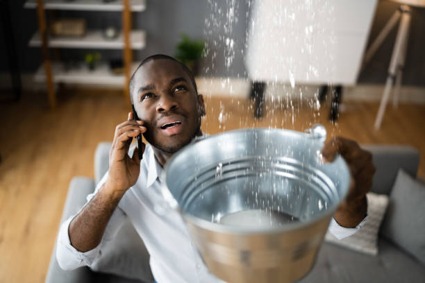 Best Sewage cleanup and water damage restoration  in Ellenville, NY