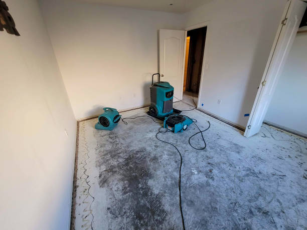 Best Ceiling water damage repair  in Ellenville, NY
