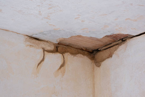 Best Water damage restoration near me  in Ellenville, NY