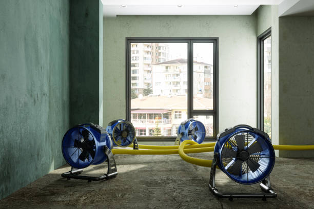 Best Residential water damage restoration  in Ellenville, NY