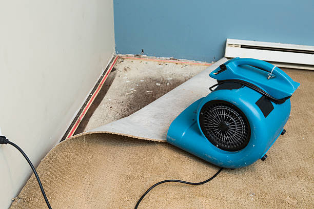 Carpet water damage restoration in NY
